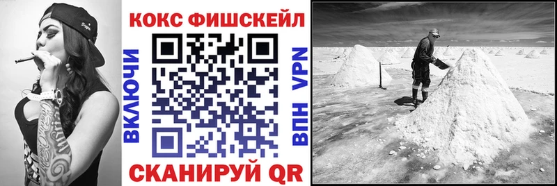 COCAIN Fish Scale  продажа наркотиков  гидра вход  Ладушкин 