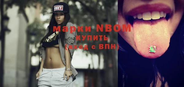 шишки Пестово