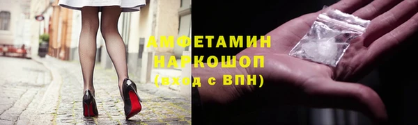 шишки Пестово