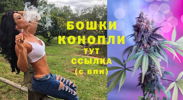 прущая мука Пересвет