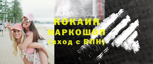 шишки Пестово