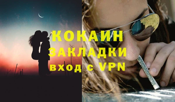 шишки Пестово