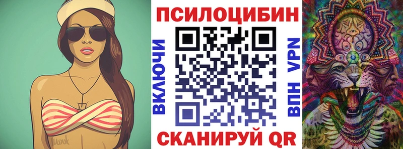Галлюциногенные грибы Psilocybe  kraken вход  Ладушкин 
